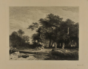 Forêt de Chênes et de Hétriers