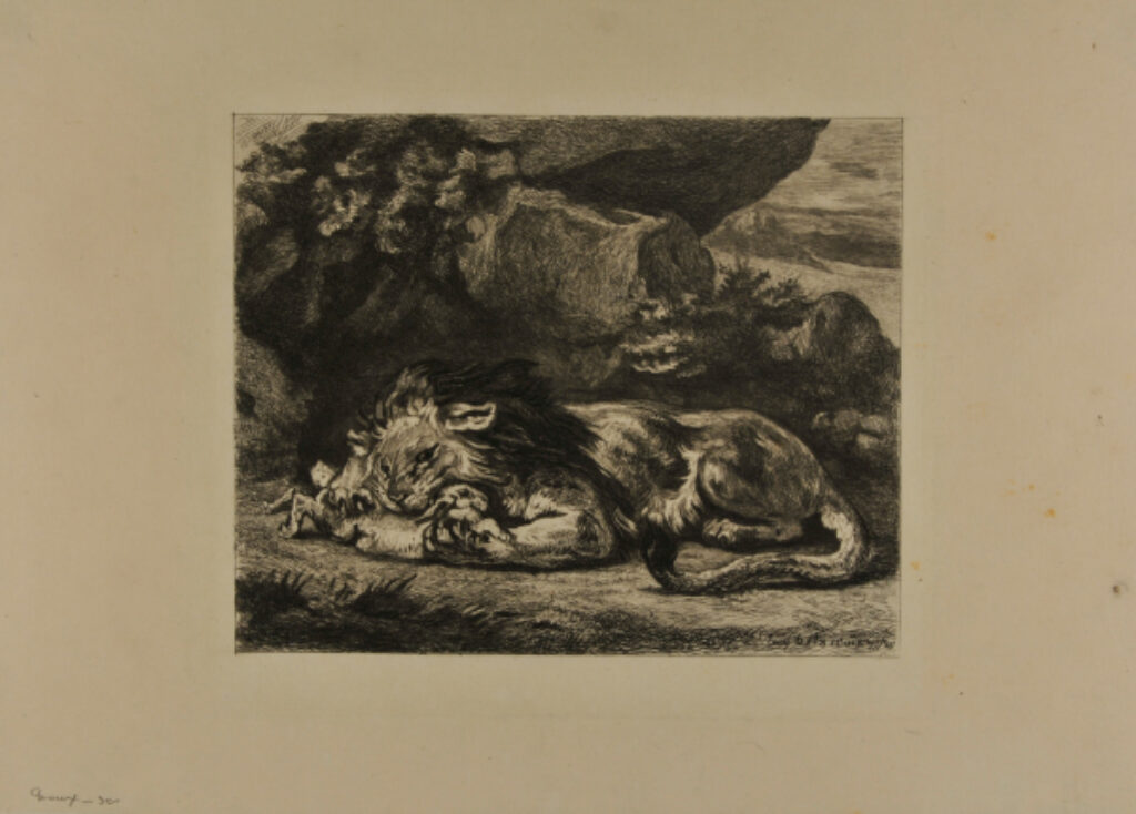 Lion dévorant un lapin