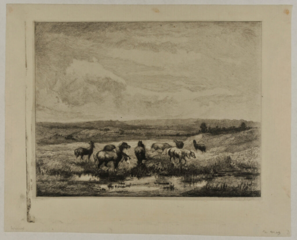 Horses at a Pond