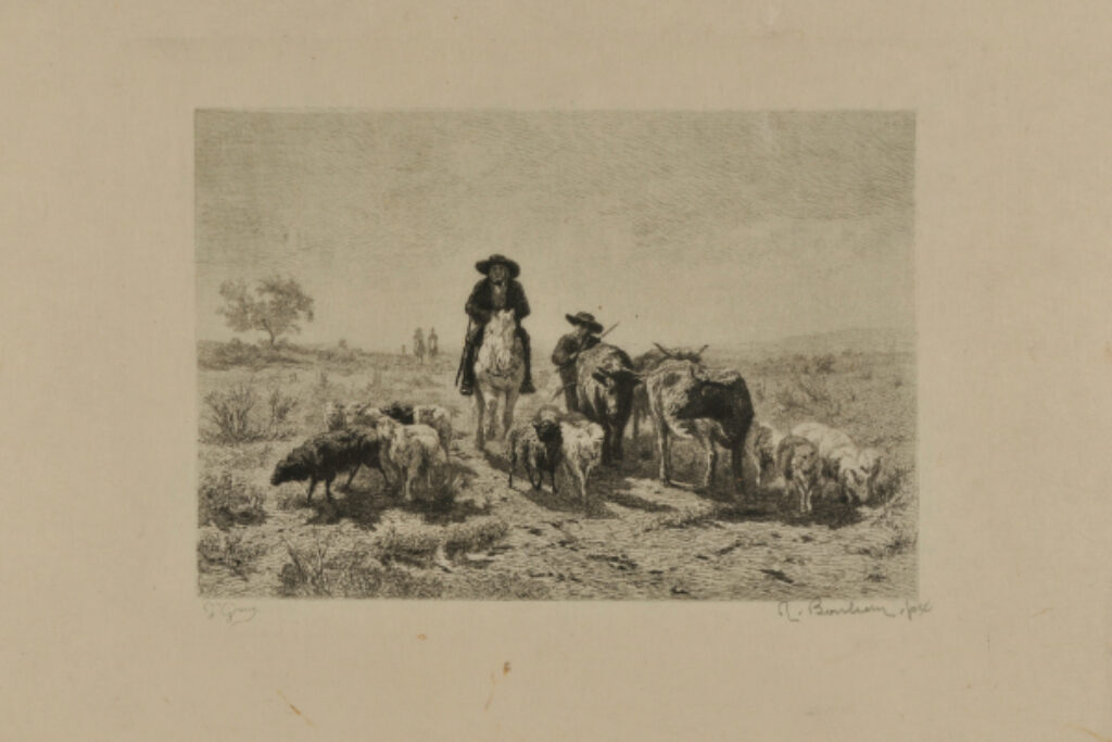 Driving Sheep and Cattle Home