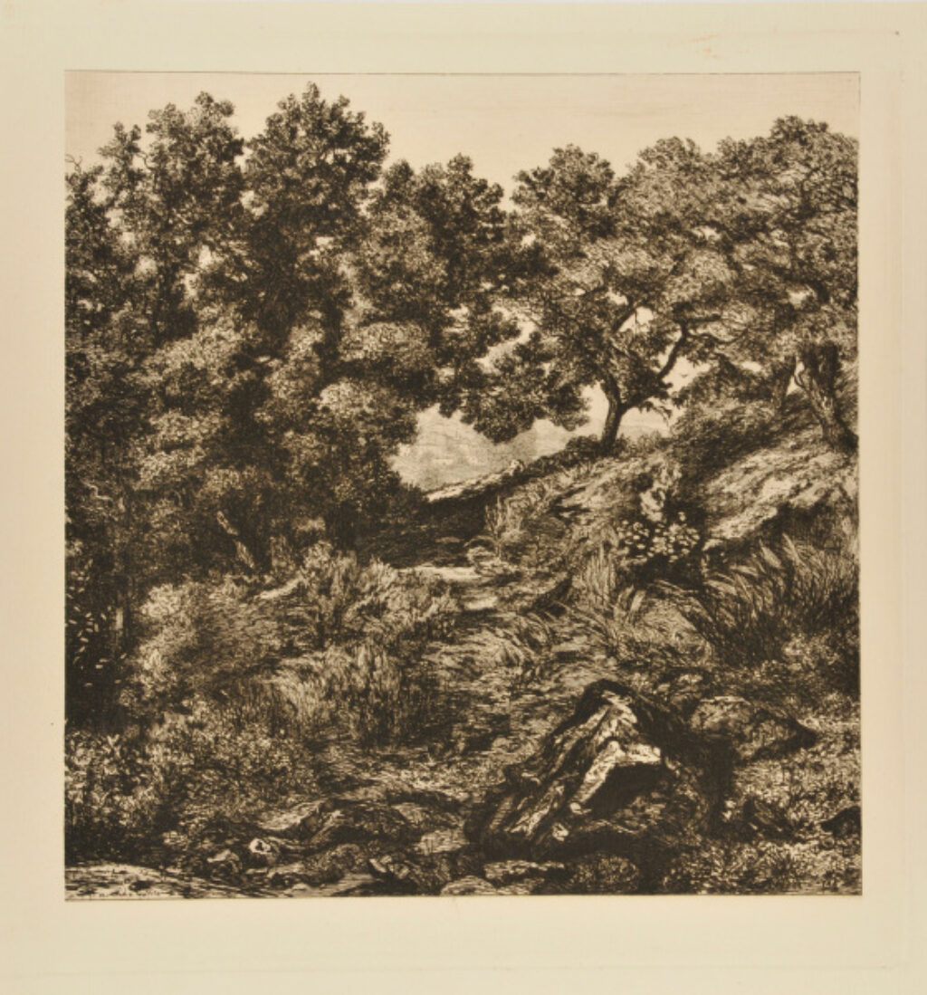 Près Villars (Puy-de-Dôme)