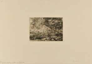 Sous bois à Blanzat avec bûcheron