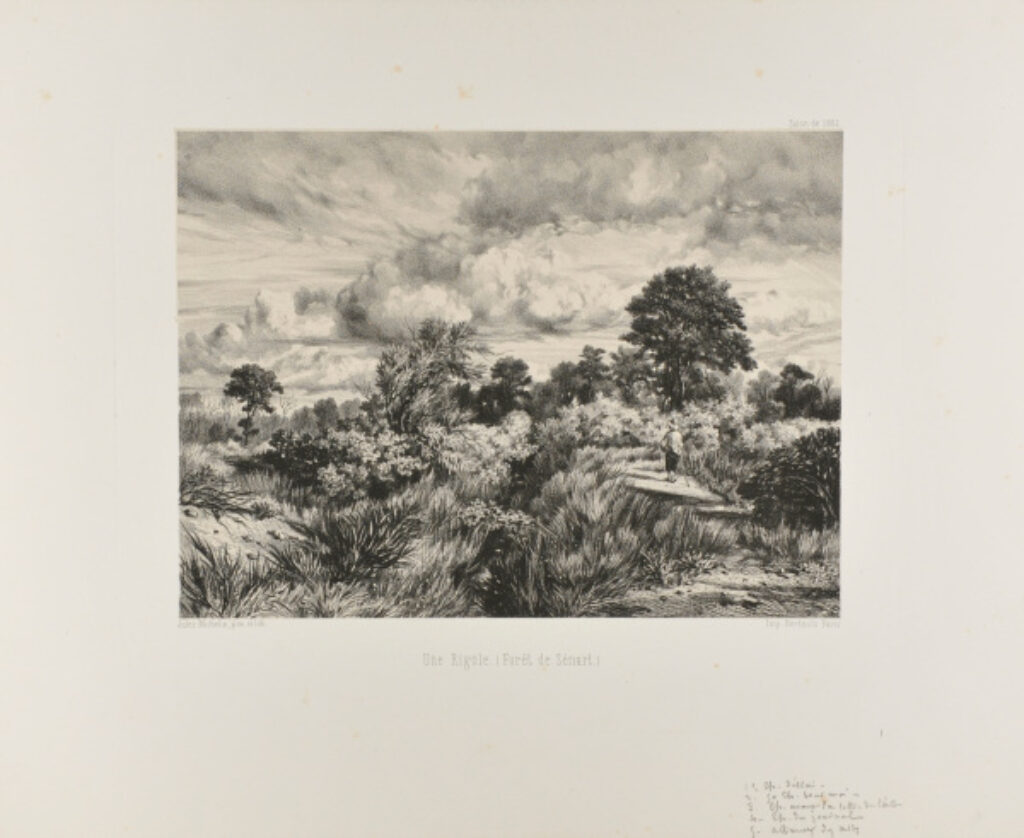 Une Rigole (Forêt de Sénart)