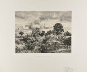 Une Rigole (Forêt de Sénart)