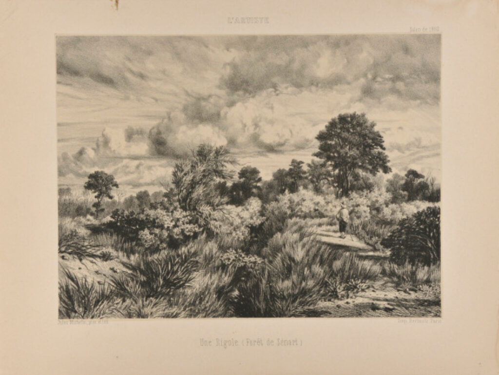 Une Rigole (Forêt de Sénart)