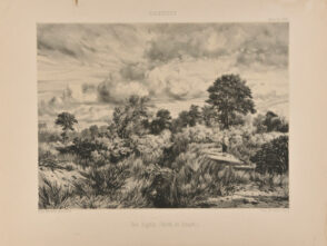 Une Rigole (Forêt de Sénart)