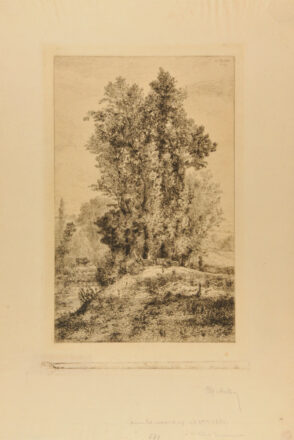 Les Bords du Sichon à Vichy