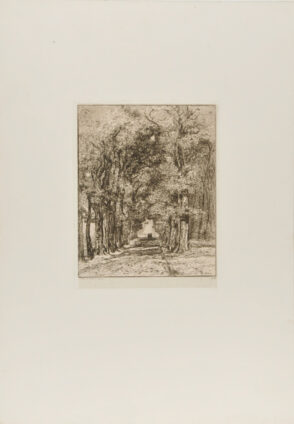 Contre-allée dans le Parc de Saint-Cloud