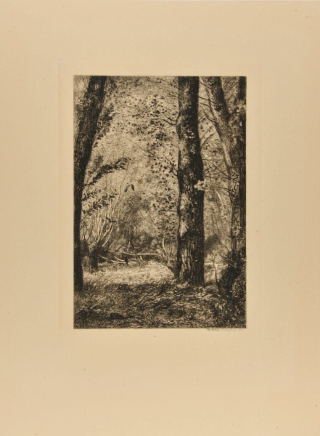 Troncs d’arbres à Croissy