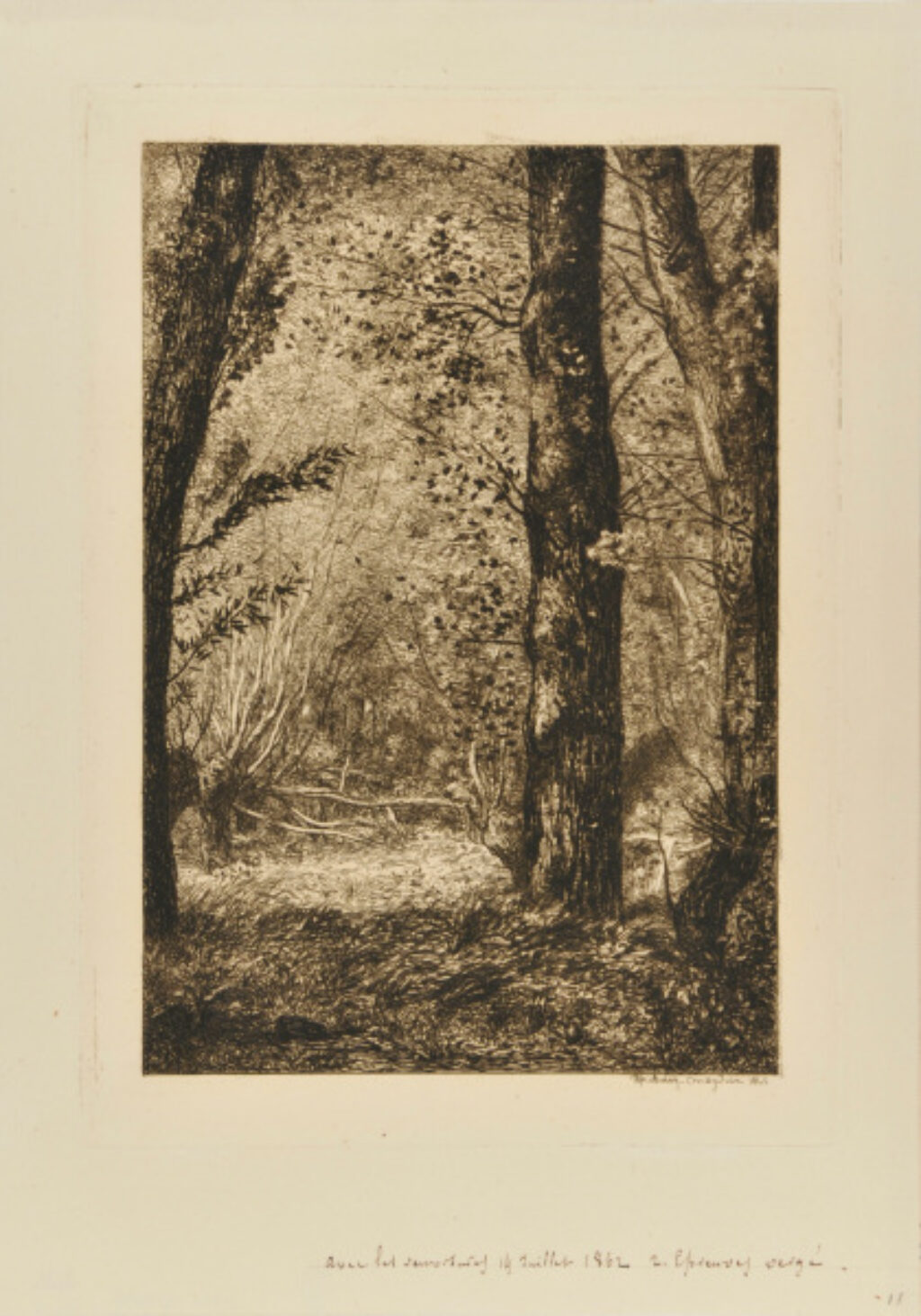 Troncs d’arbres à Croissy