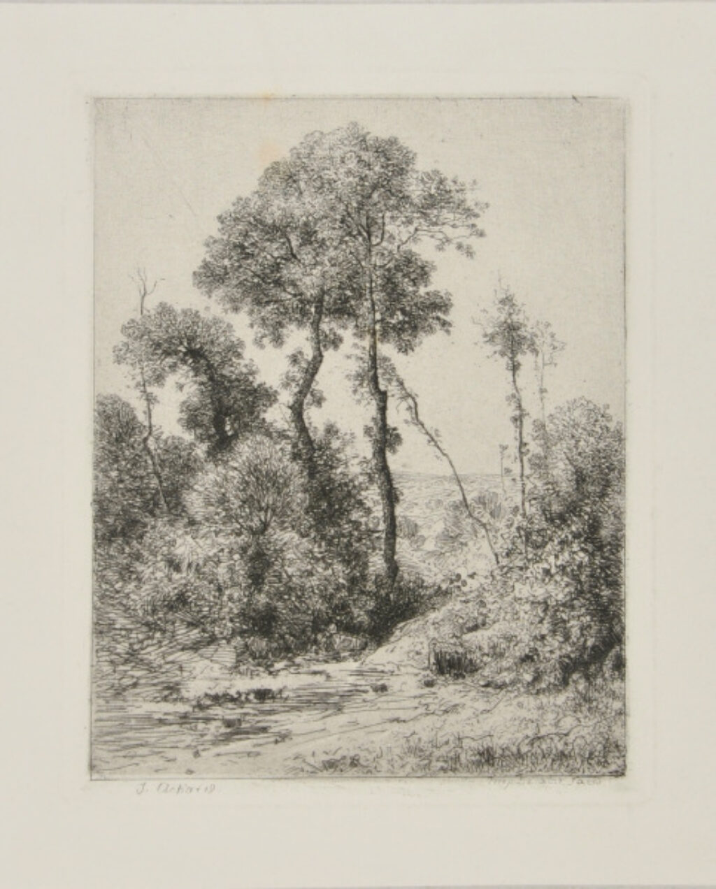 Motif d’Arbres en Hauteur