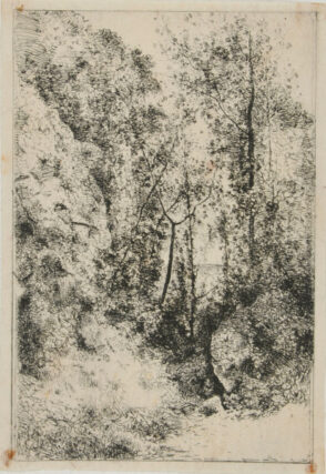 Intérieur de Forêt