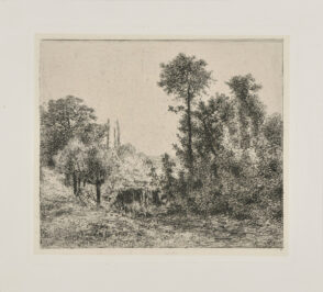 Ruisseau tombant en cascade