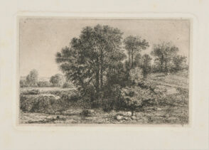 Grande masse d’arbres sur un tertre