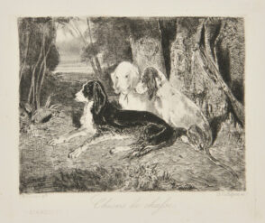 Chiens de chasse