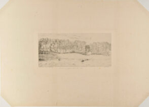 Rideau de Peupliers dans les Près