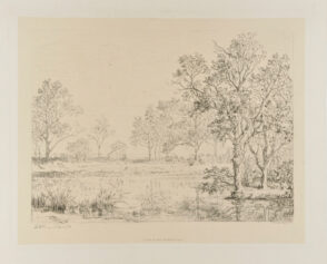 Les Bords d’un étang en Bresse