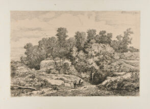 Le Grand Ravin Boisé