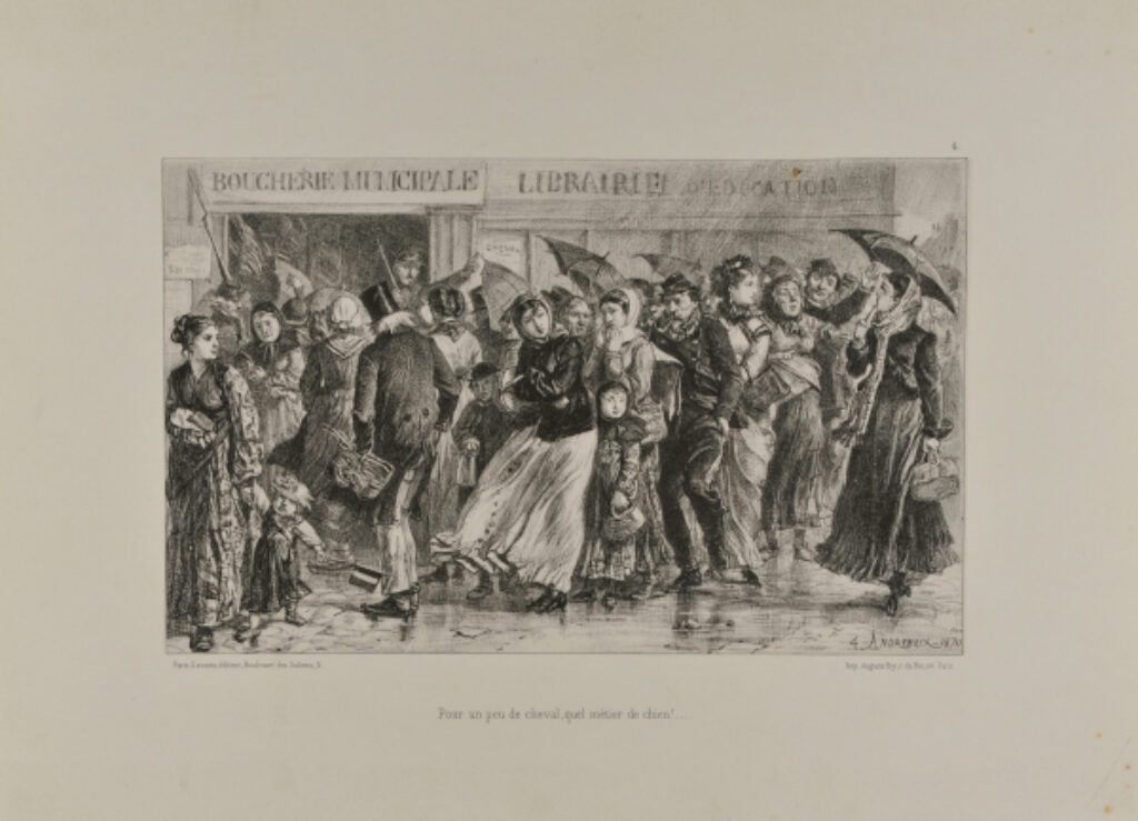 Pour un peu de cheval, quel métier de chien!…