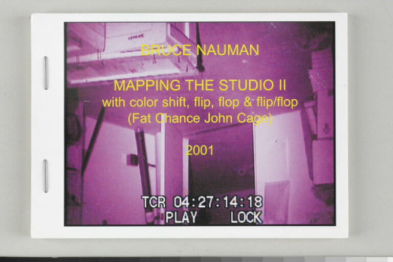 MAPPING THE STUDIO II (WITH COLOR SHIFT, FLIP, FLOP, & FLIP/FLOP)