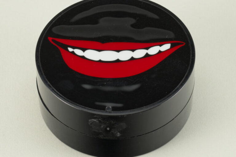 CHESHIRE SMILE, PETER NORTON FAMILY CHRISTMAS PROJECT 2008