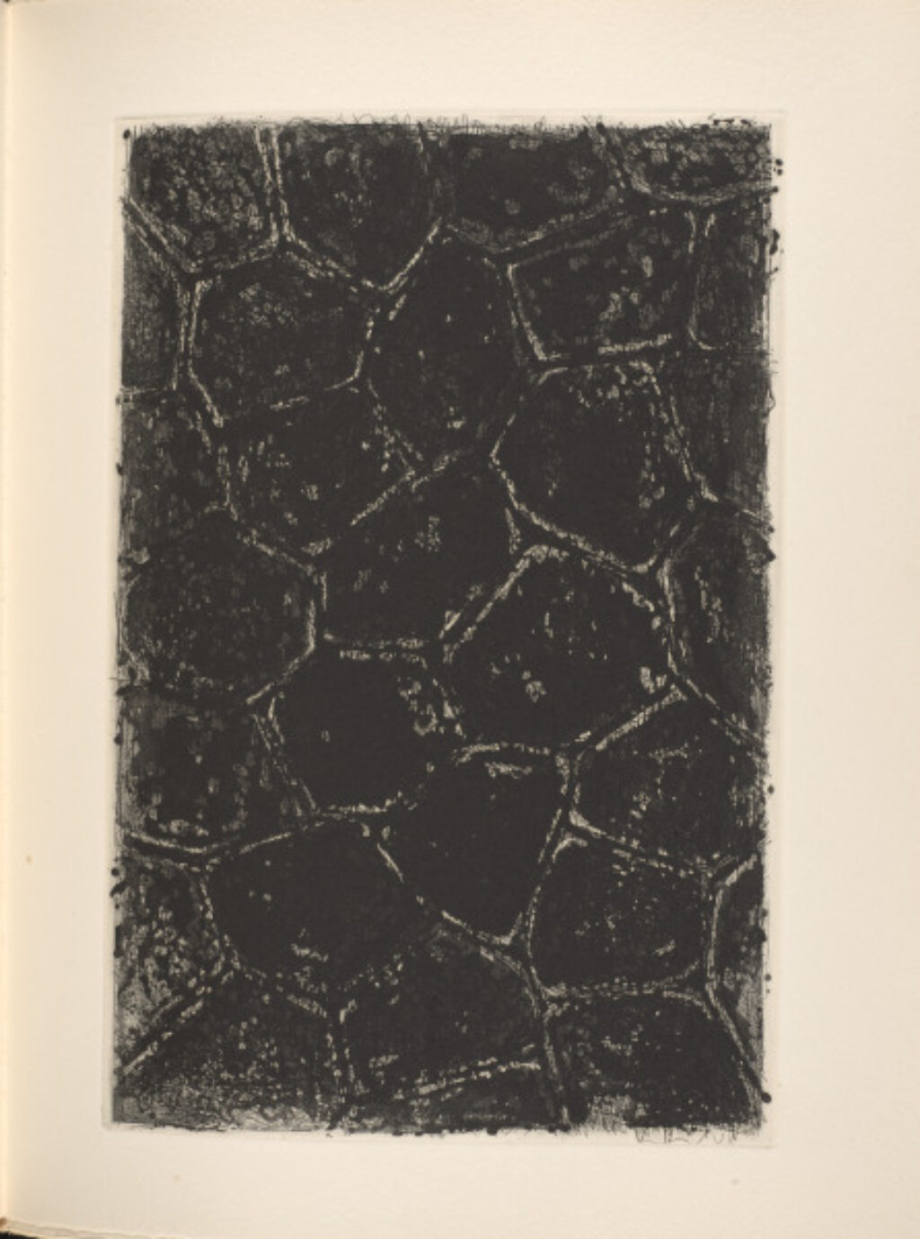 Foirades/Fizzles - Image 22