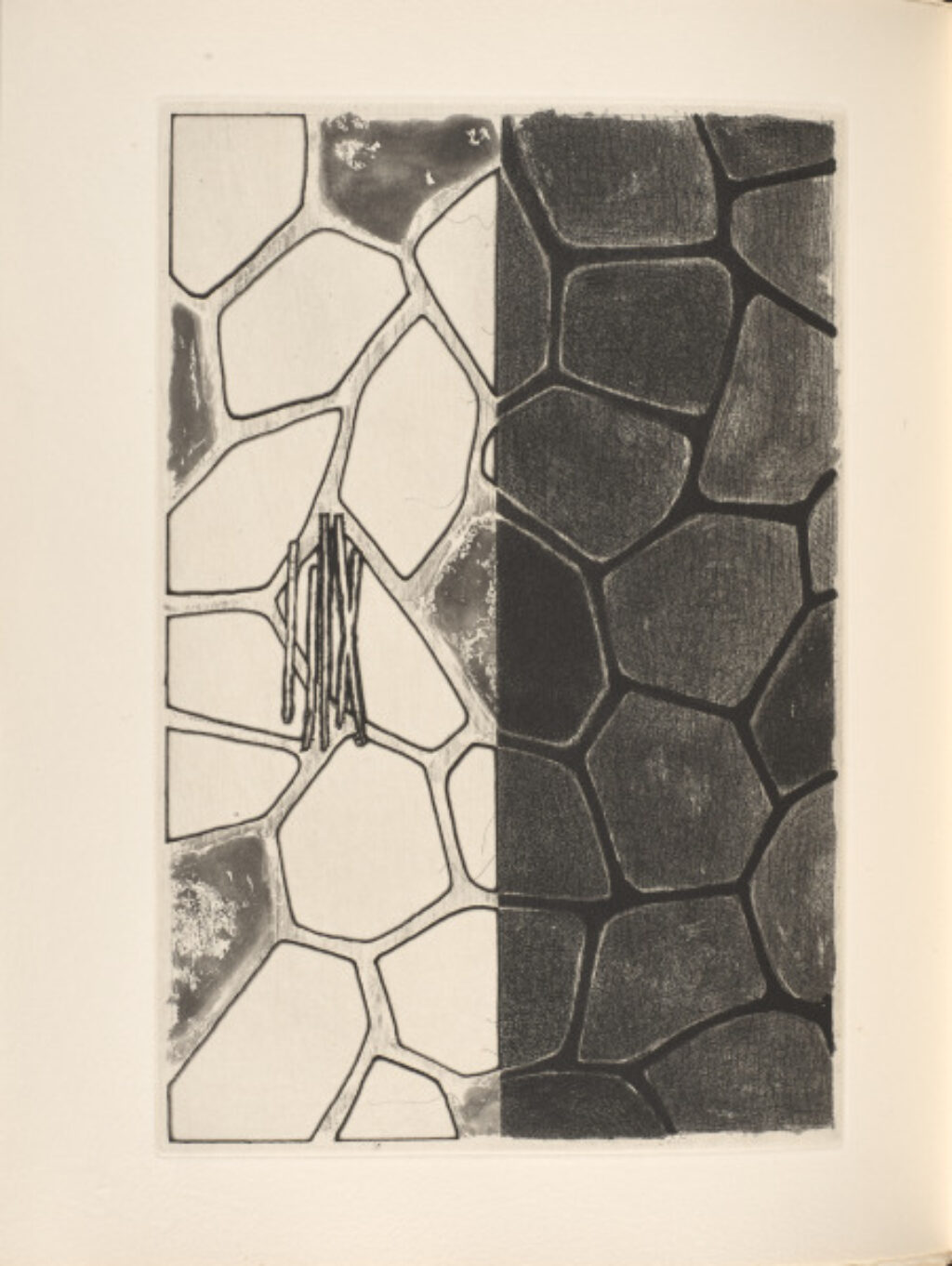 Foirades/Fizzles - Image 21