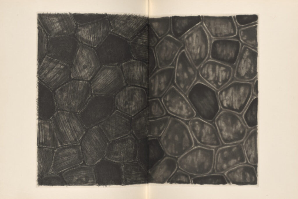 Foirades/Fizzles - Image 12