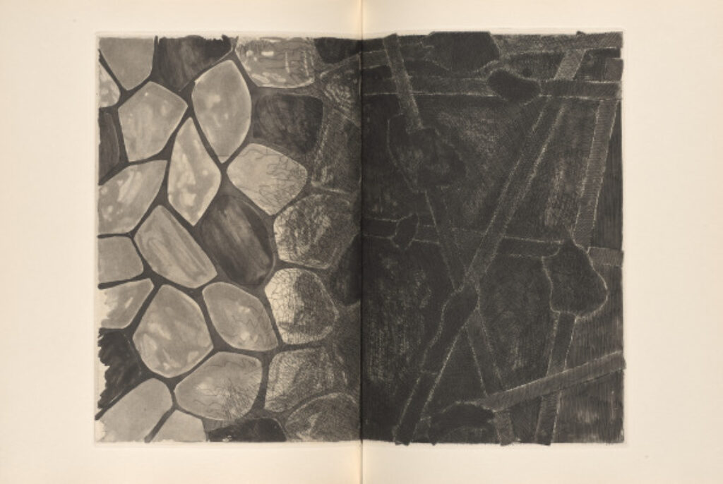 Foirades/Fizzles - Image 5