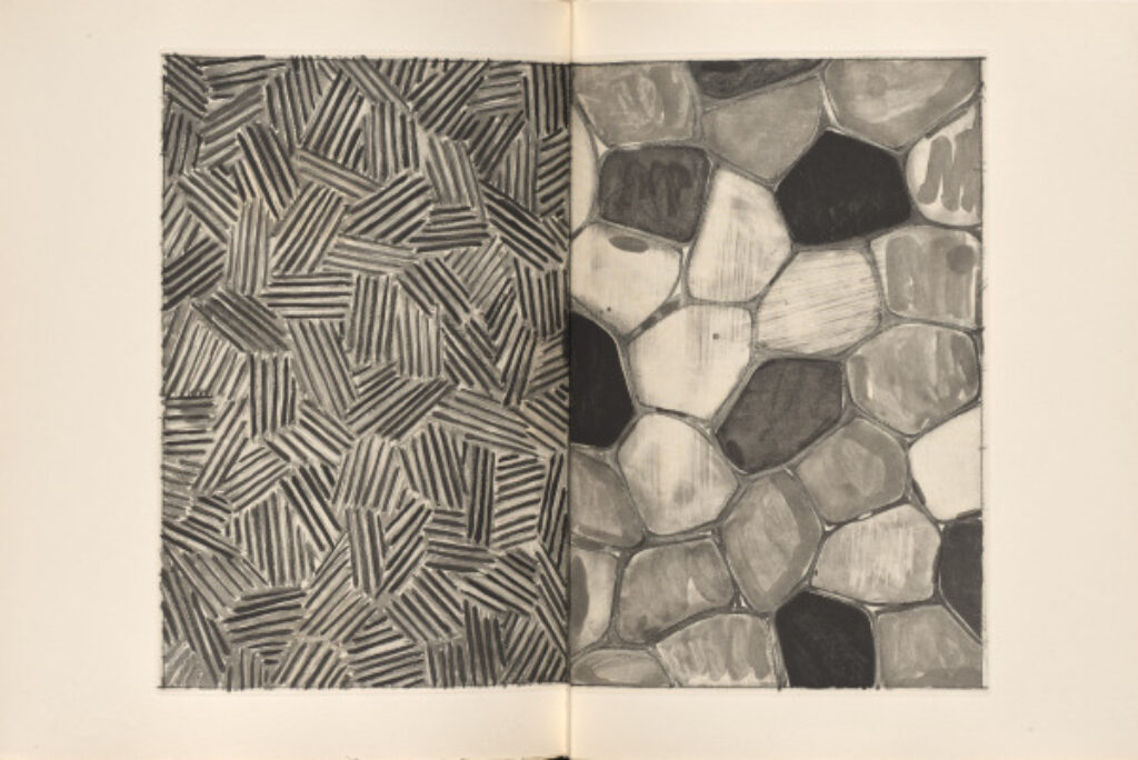 Foirades/Fizzles - Image 18