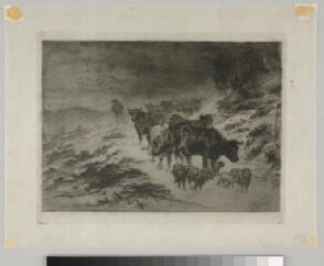 Cattle Returning Home