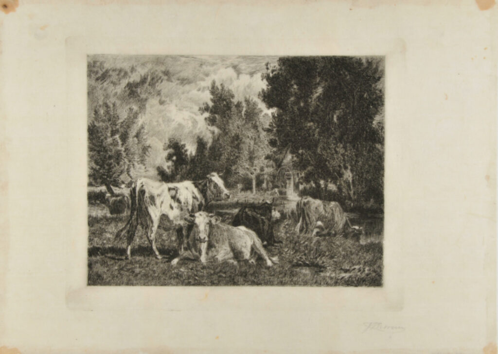 Landscape and Cattle