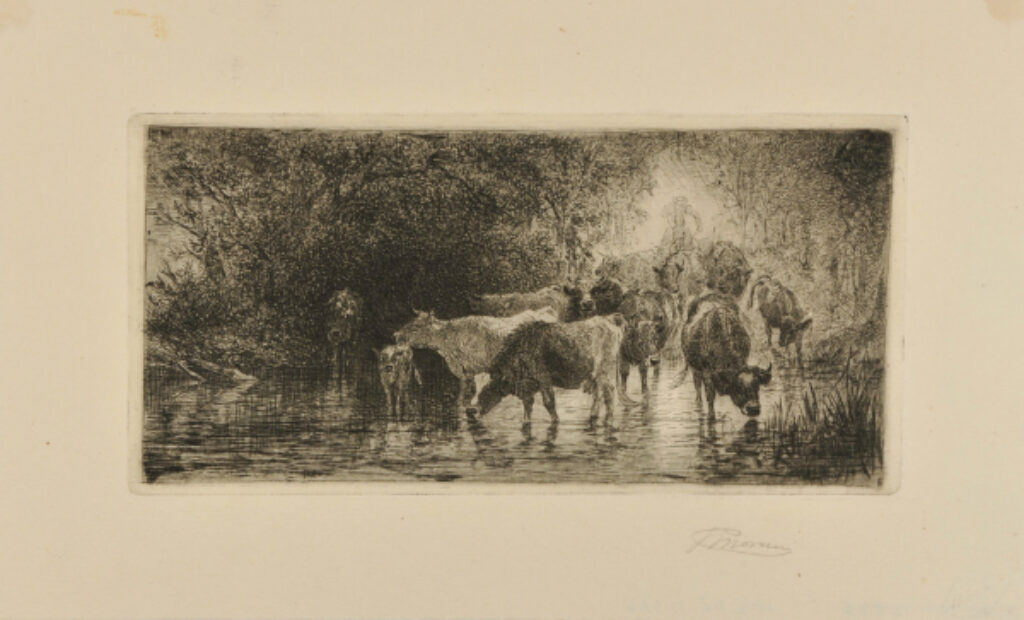 Cattle Drinking at a Pond