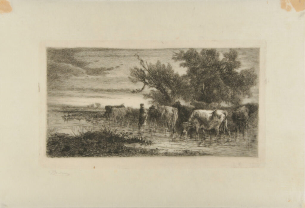 Girl Wading in Stream Guarding Cattle