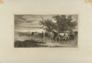 Girl Wading in Stream Guarding Cattle