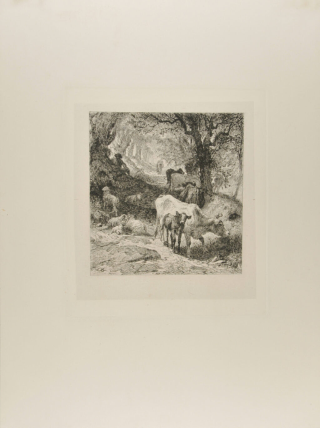 Man Sitting in a Wood Guarding Cows and Sheep