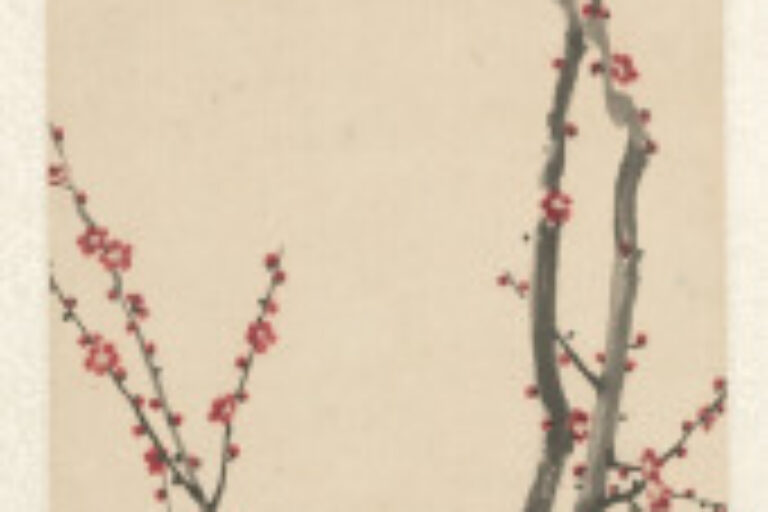 MAGPIE ON FLOWERING PLUM BRANCH