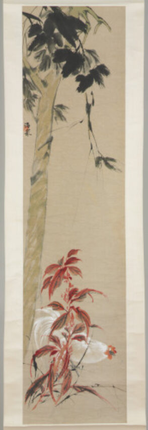 Rooster and Poinsettia beneath an Old Tree