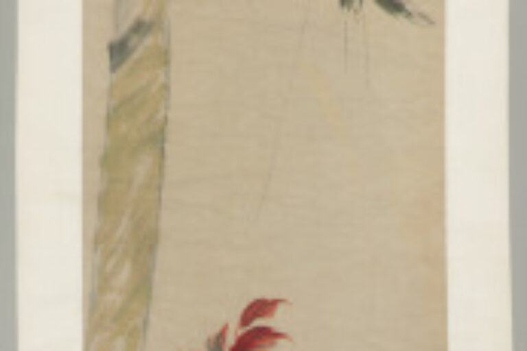 ROOSTER AND POINSETTIA BENEATH AN OLD TREE