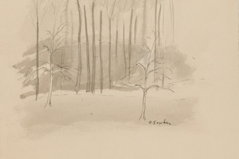 TREES