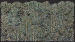 Tree Scape