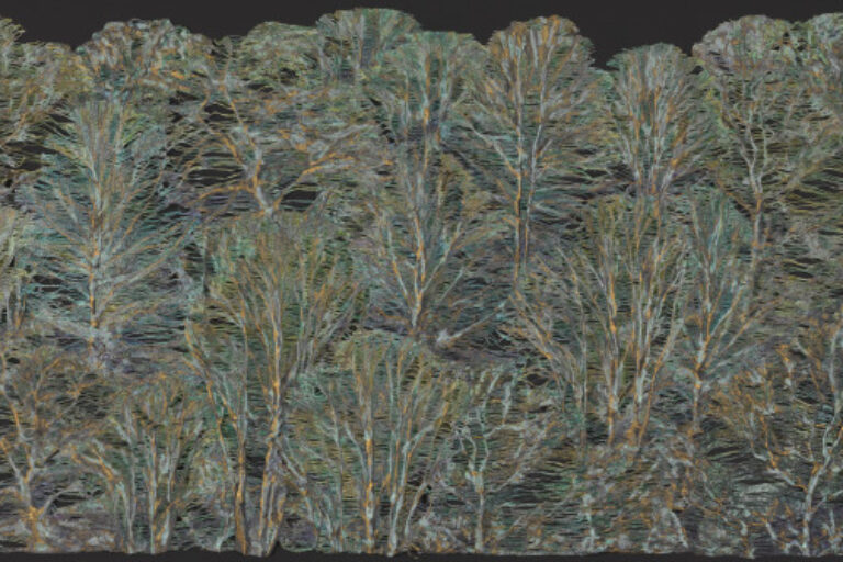 TREE SCAPE