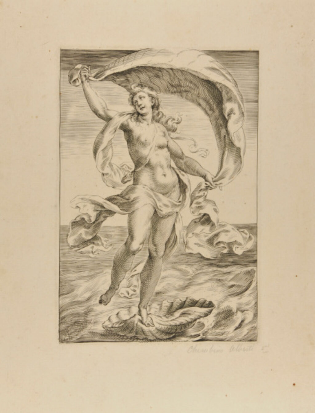 Venus Rising from the Sea