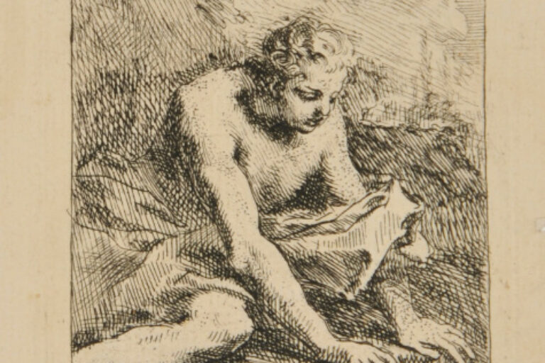 Narcissus