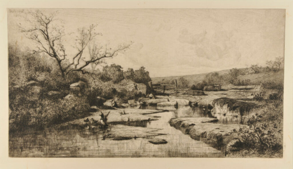 Source De L’Albarine - Image 2