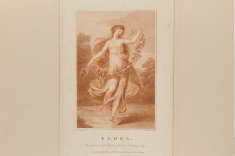 Flora