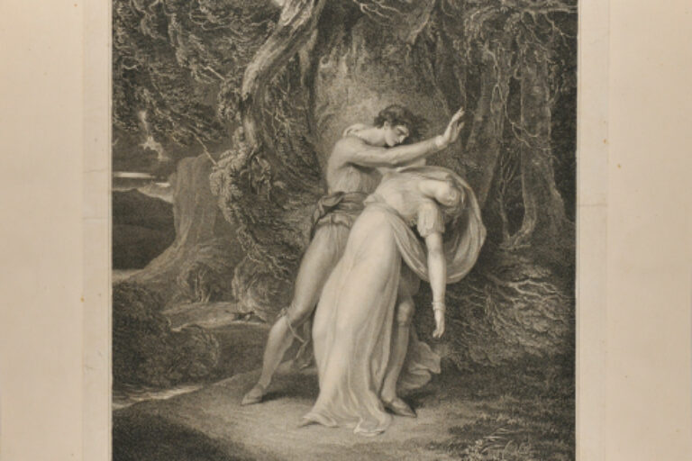 Celadon and Amelia