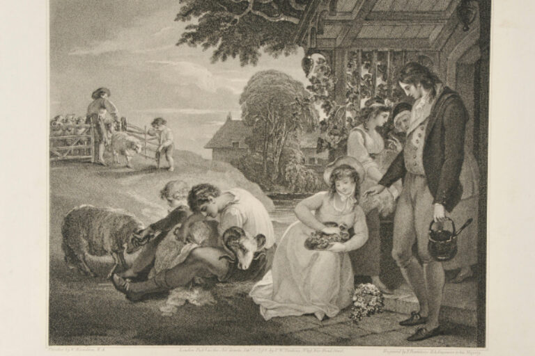 Sheep-Shearing