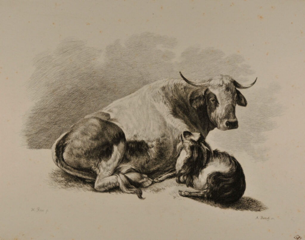 Groupes d’Animaux (Cow and goat)