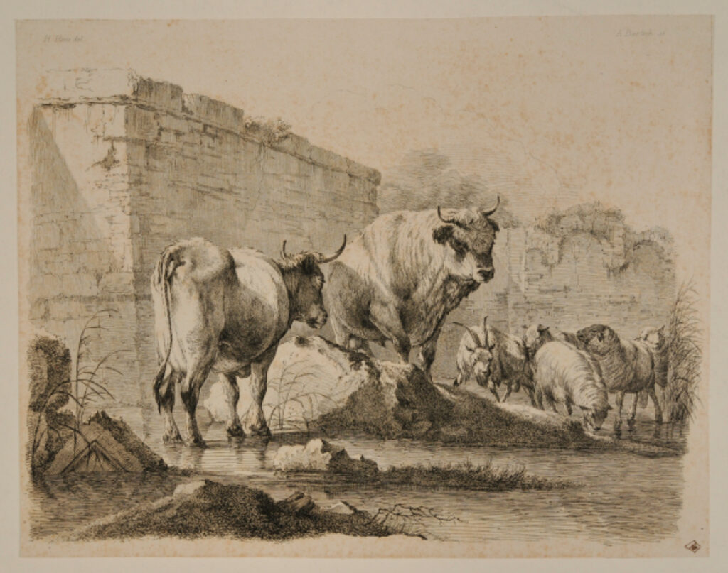 Cattle by a Brook